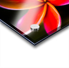 Touch of summer Acrylic print