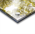 Open airs Acrylic print