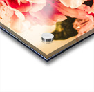 Shabby chic romances Acrylic print