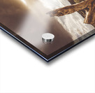 Arid Tasmania bush landscape Acrylic print