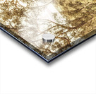 Elevated country Acrylic print