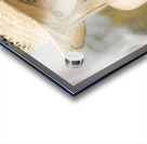 Country And Western Corn Slinger Acrylic print