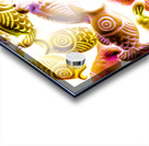 Colorkoi Acrylic print