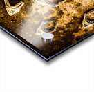 Killer shark jaws  Acrylic print