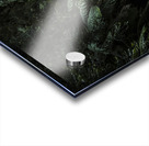 Jungle waters Acrylic print