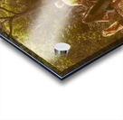 Waterfall outlook Acrylic print