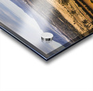 Vineyard harvest landscape Acrylic print