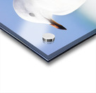 Ocean Bird Acrylic print