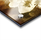 Past life flowers Acrylic print