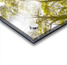 Country wide Acrylic print