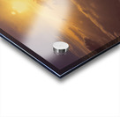 Elevation Acrylic print