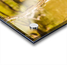 Afternoon lakes Acrylic print