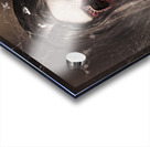 Female face of dark horror. Eye of the black widow Acrylic print