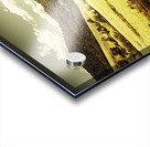 Peaceful panoramic pasture Acrylic print