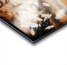 When poets dream  Acrylic print