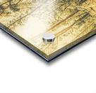 Tasmanian forest sunrise Acrylic print