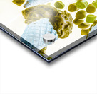 Summer tips and parlour tricks Acrylic print