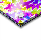 Color springs Acrylic print