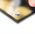 Retro flower Acrylic print