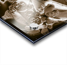 Electronic frontier Acrylic print