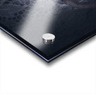 Mysterious female mystic veiled in lace secrecy  Acrylic print