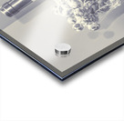 A grape gala Acrylic print