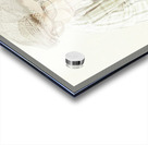 Plot double take Acrylic print