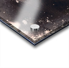 Yellow rose pier Acrylic print