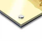 Bushland of western dynamics Acrylic print