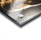 Star super model in fashion limelight Acrylic print