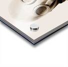 Toxic 1942 Acrylic print