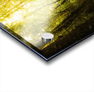 Lush Green Rainforest Walk Acrylic print