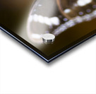 Beautiful Butterfly Acrylic print