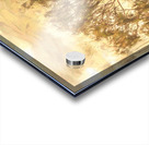 Summer dreaming Acrylic print