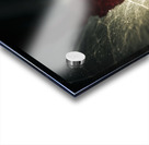 Bloody leaf evidence at a forest crime scene  Acrylic print