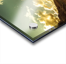 Serzenity Acrylic print