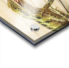 Australian water dragon Acrylic print