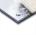 Fingal winter farmyard Acrylic print