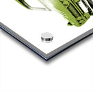 Datsun 510 Comic Strip Acrylic print