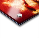 Indian food seasoning and spices Acrylic print