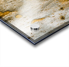 From the woodland Acrylic print