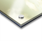 Rolling rural hills of Zeehan Acrylic print