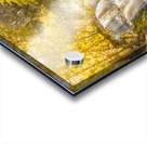 Tranquil Tasmania Acrylic print