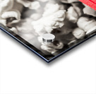 Event ticket lying on pile of popcorn Acrylic print