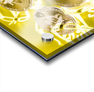 Digital development Acrylic print