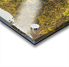 Lush country adventures Acrylic print