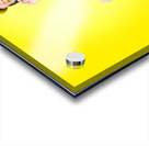 Beautiful vogue woman in vintage 50s fashion style Acrylic print