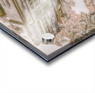 Autumns coarse Acrylic print