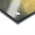 Overcast sky above herd of cows on pasture Acrylic print