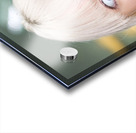 Pencil Biter Acrylic print